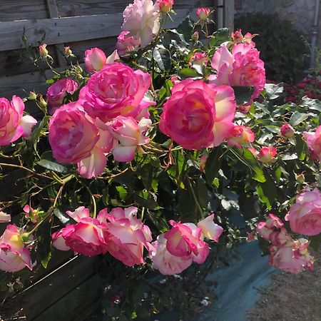 Les Hortensias Grand-Fougeray ภายนอก รูปภาพ